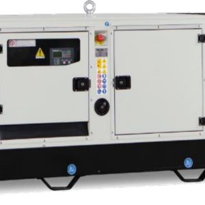 Generador Green Power Modelo: GEGP110IB